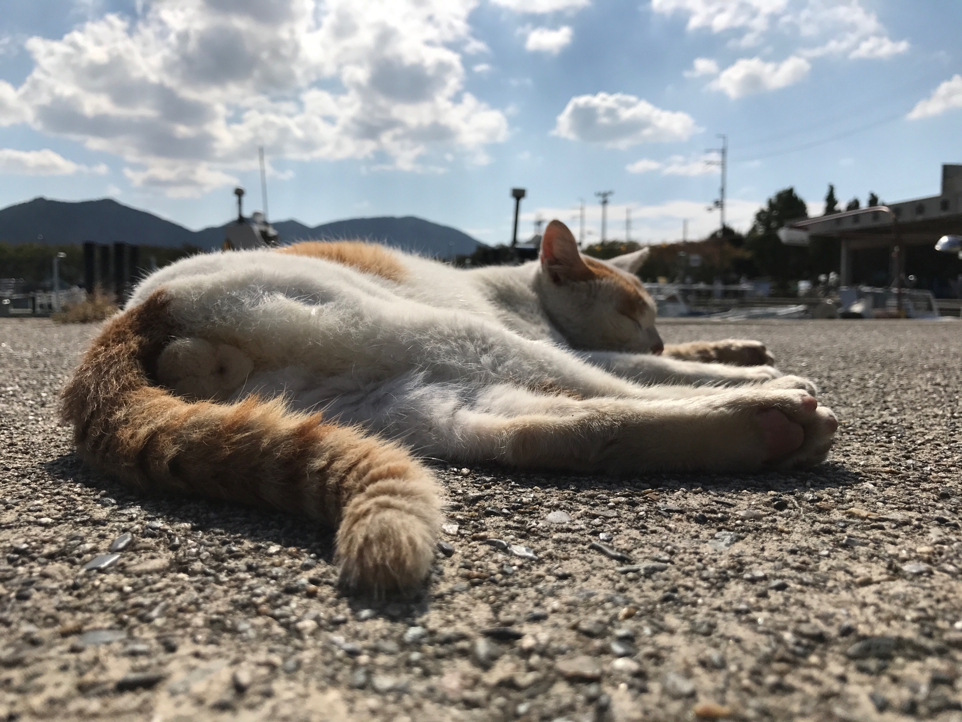 わたなか